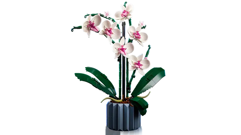 Lego Botanicals 10311 Orhideja