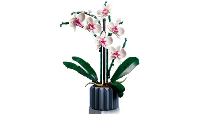 Lego Botanicals 10311 Orhideja