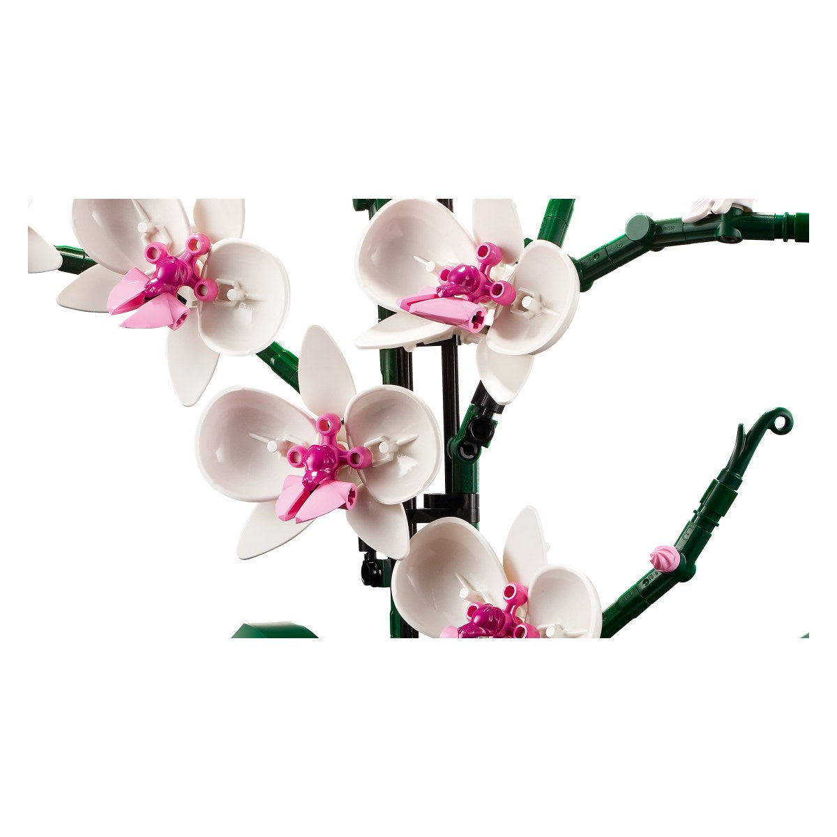 Lego Botanicals 10311 Orhideja